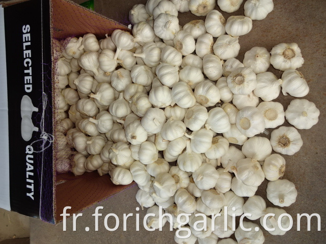 Best Quality Pure Garlic